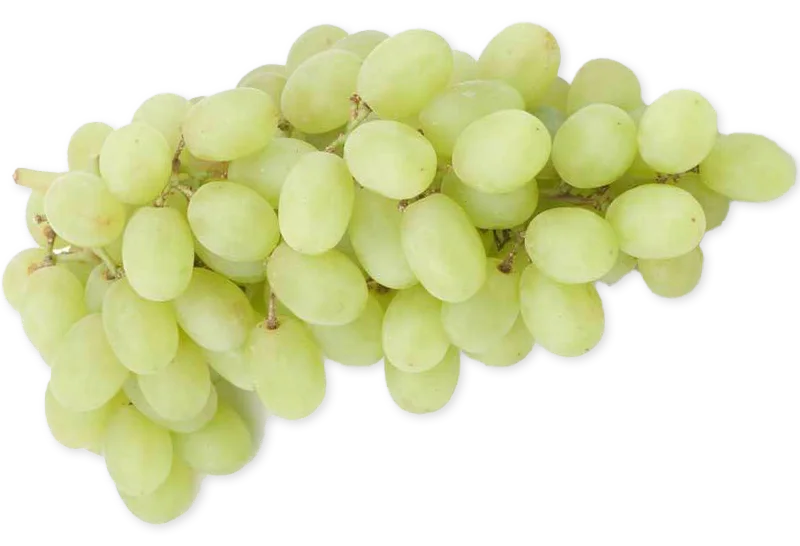 Sweet Baby Thompson Seedless Grapes (SEASONAL)