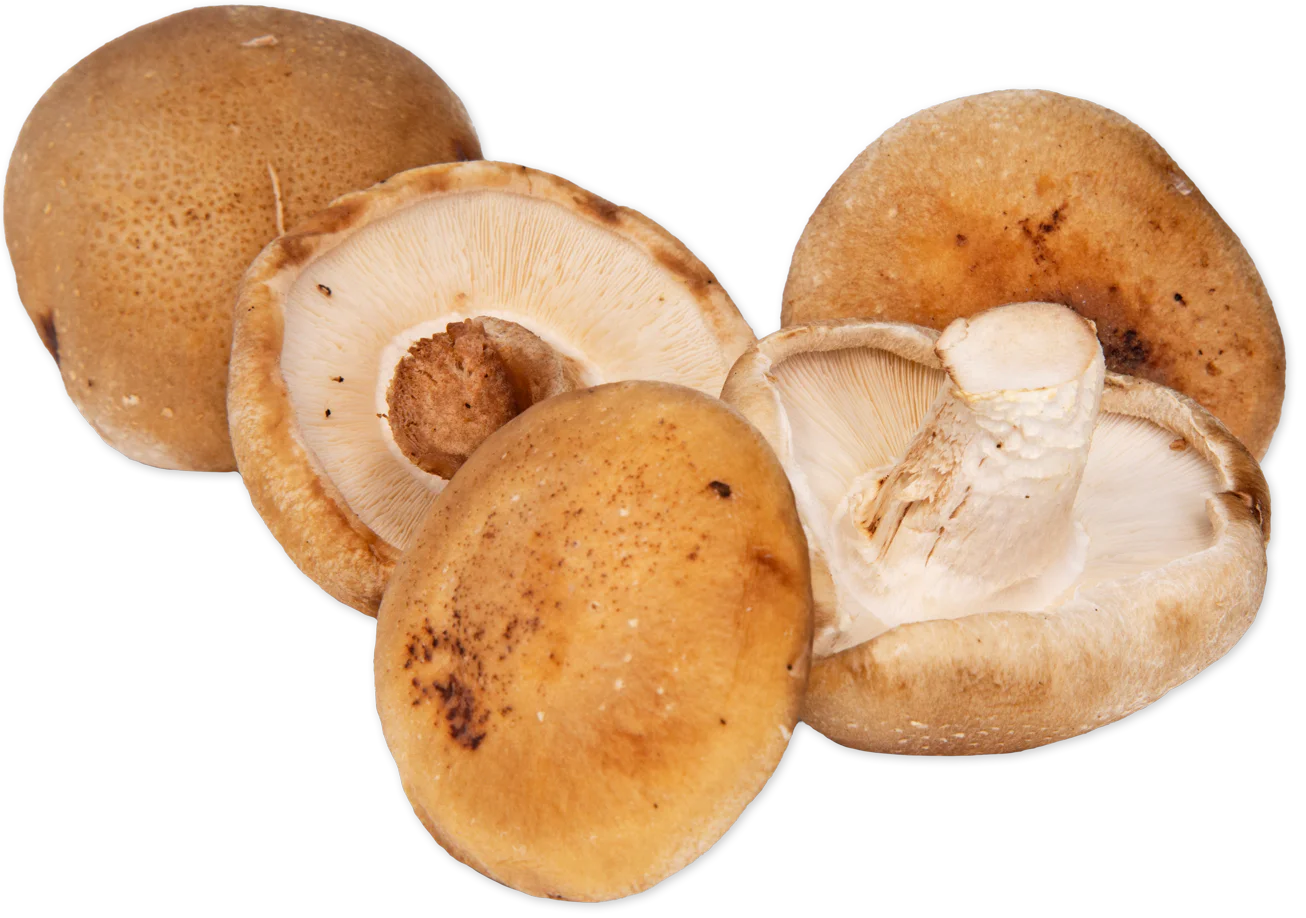 Shiitake Mushrooms