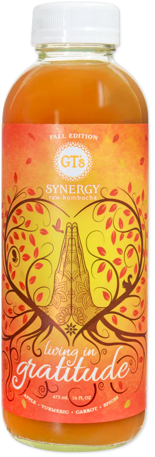 GT's Synergy Living in Gratitude Raw Kombucha (LIMITED-FALL)