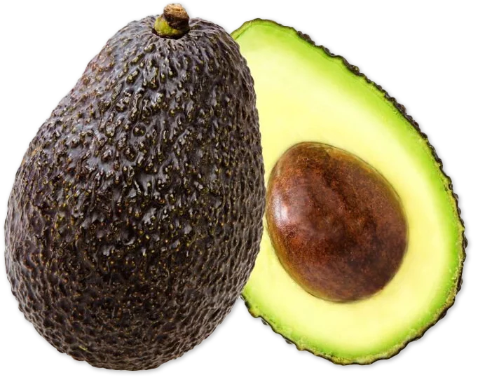 Hass Avocado