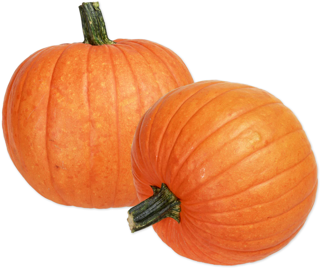 Orange Pumpkin (LIMITED-FALL)