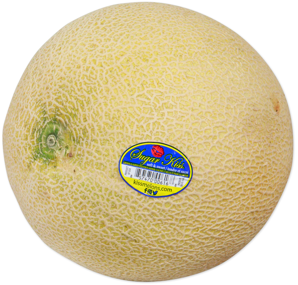 Sugar Sweet Melon
