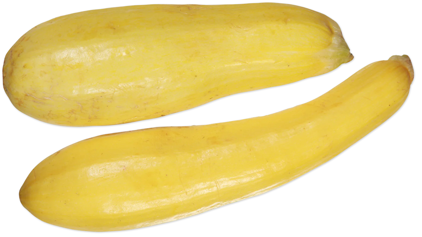 Yellow Squash