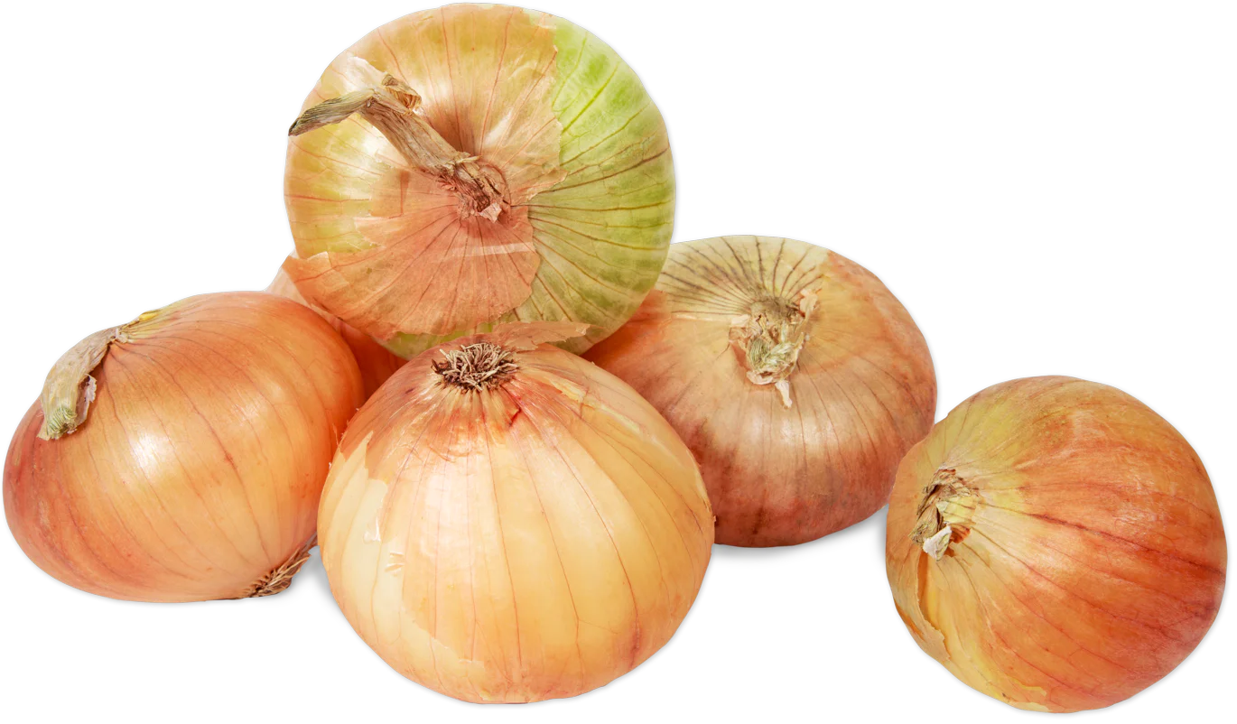 Vidalia Onions