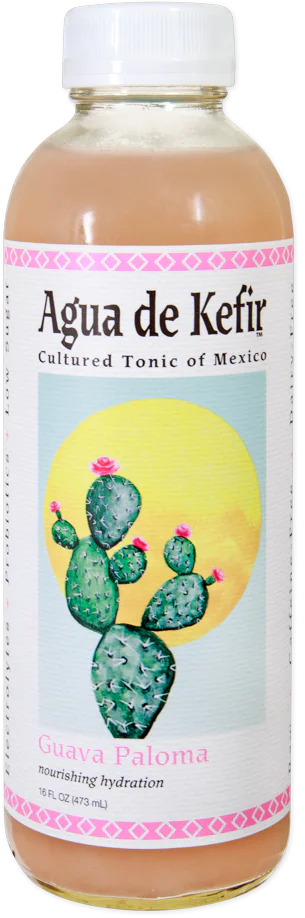GT's Guava Paloma Agua de Kefir