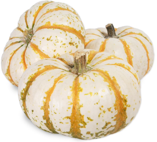 Lil' Tiger Stripe Pumpkin (LIMITED-FALL)