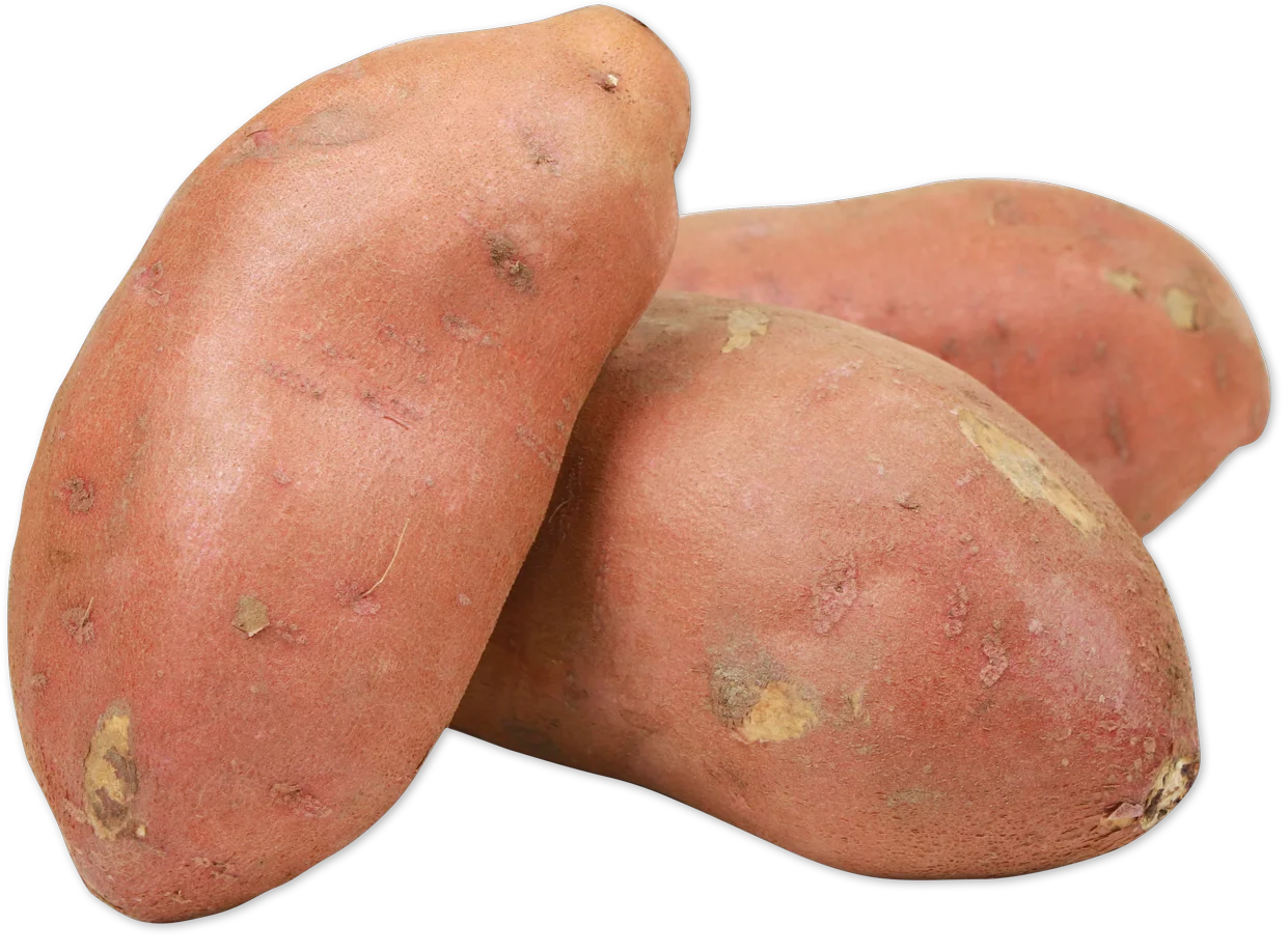 Sweet Potato