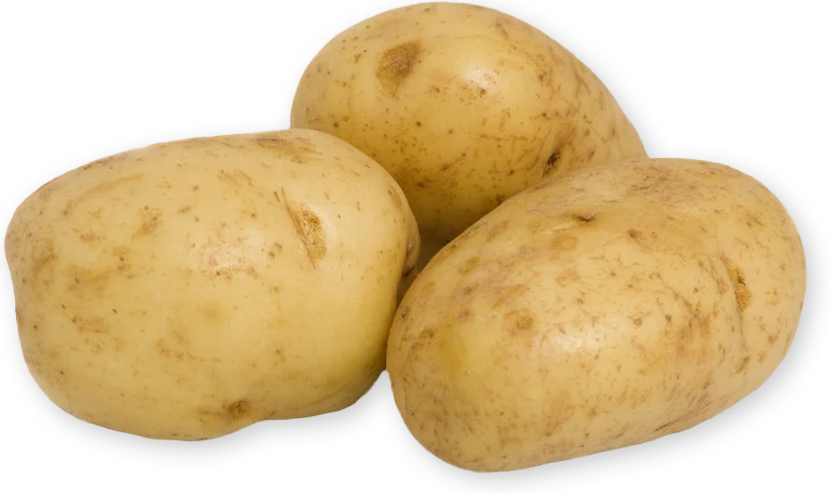 Organic Gold Potatoes