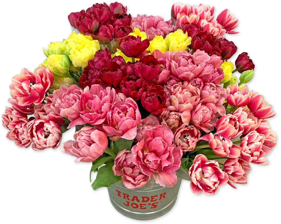 Peony Tulips Bunch (LIMITED SPRING)