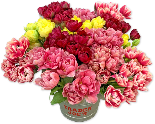 Peony Tulips Bunch (LIMITED SPRING)