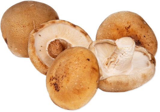 Shiitake Mushrooms