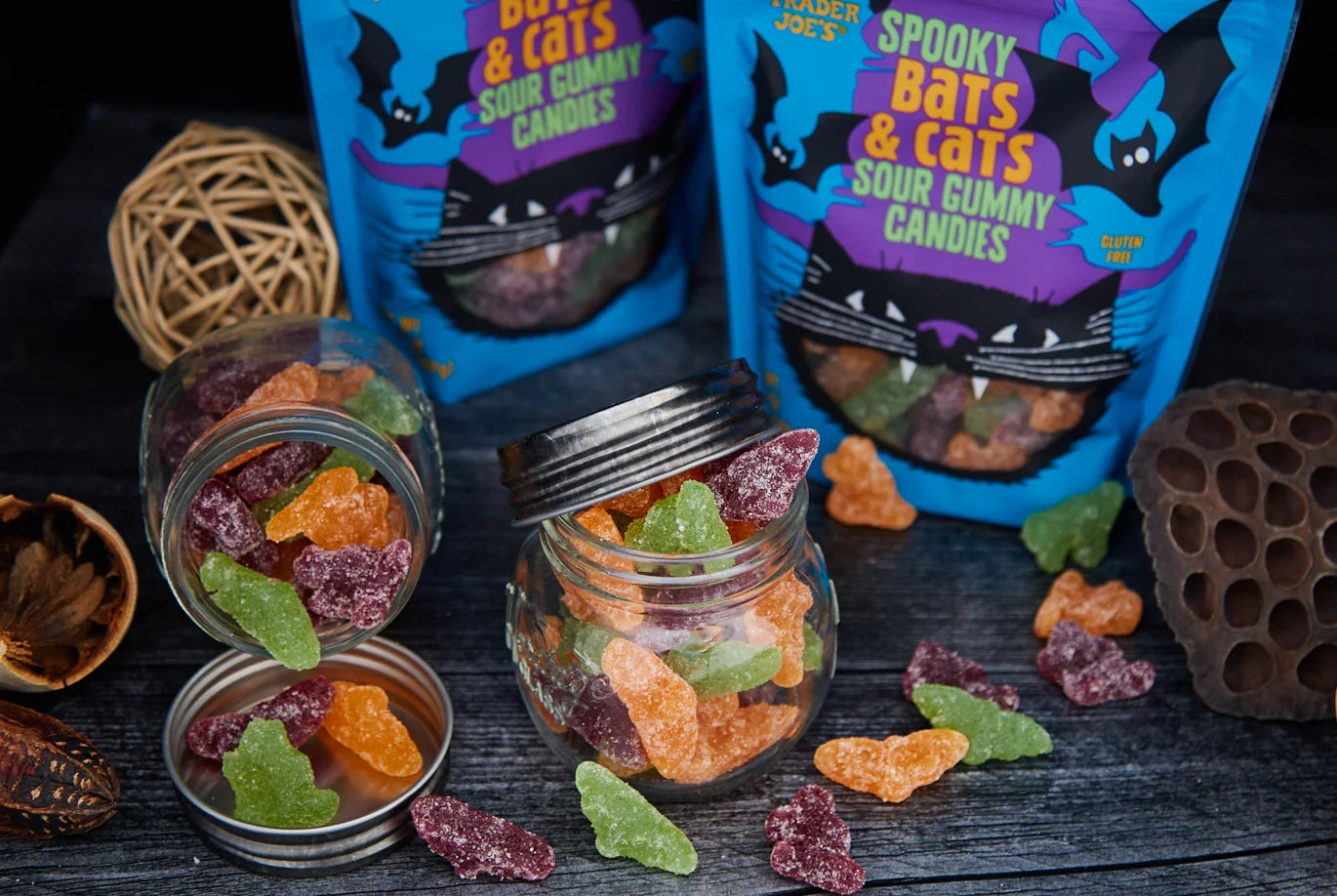 Spooky Bats & Cats Sour Gummy Candies (LIMITED-FALL)