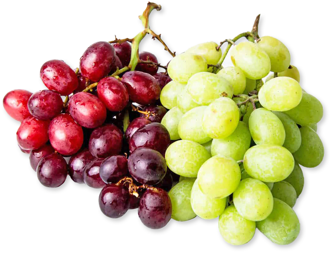 Red and Green Grapes Duo