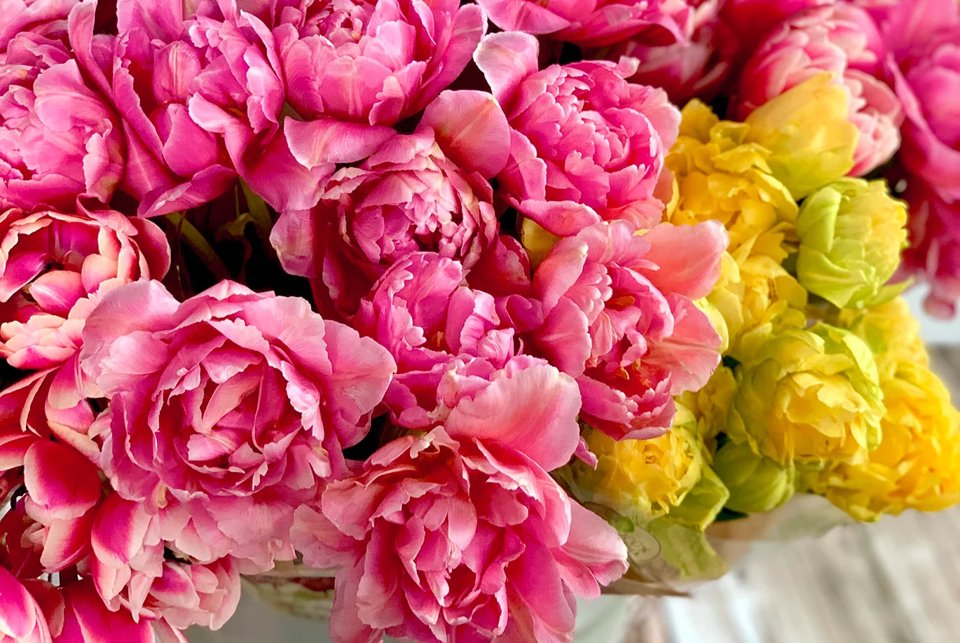 Peony Tulips Bunch (LIMITED SPRING)