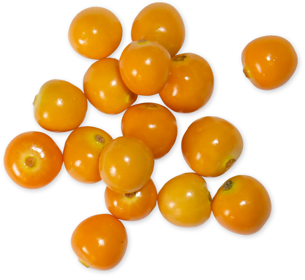 Cape Gooseberries (LIMITED-