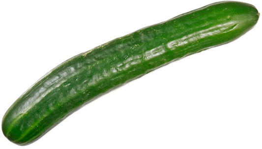 Organic English Cucumber