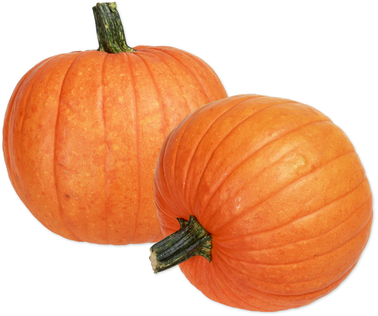 Orange Pumpkin (LIMITED-FALL)