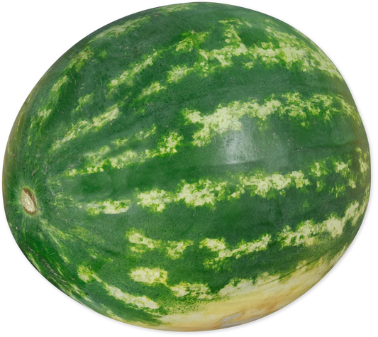 Seedless Watermelon