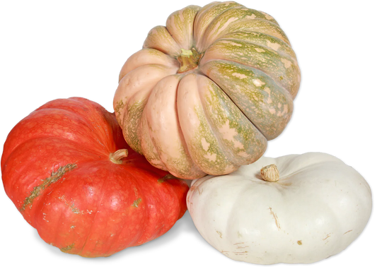 Fall Fantasy Pumpkin (LIMITED-FALL)