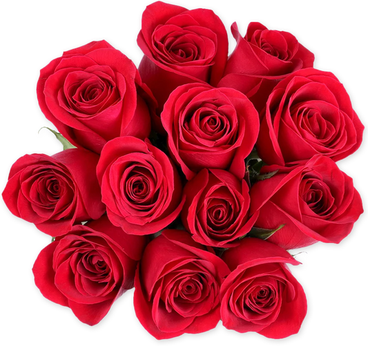 Dozen Red Roses