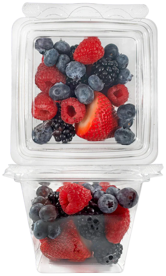 Berry Medley (LIMITED-SPRING)