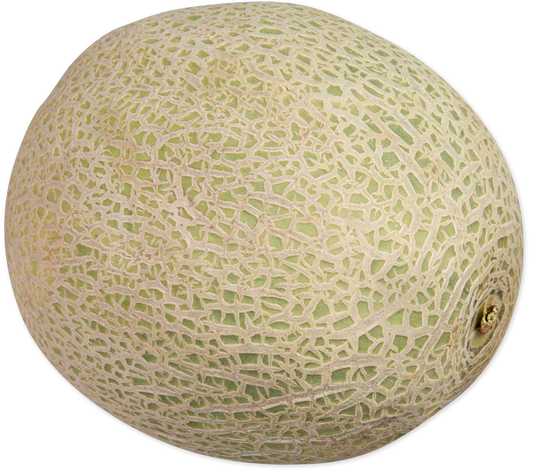 Cantaloupe